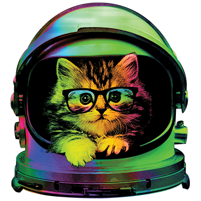 space kitty