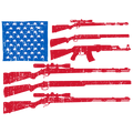 guns flag