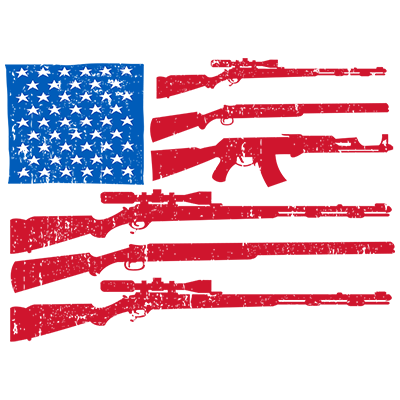 guns flag